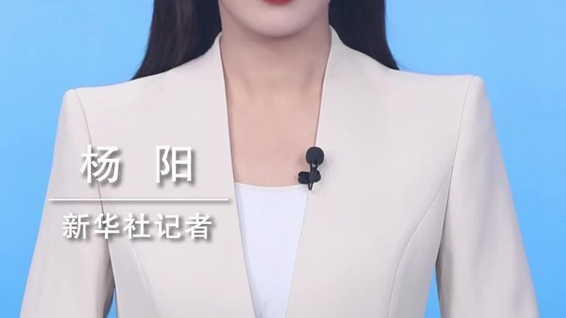 数据仓库性能优化的关键指标与策略